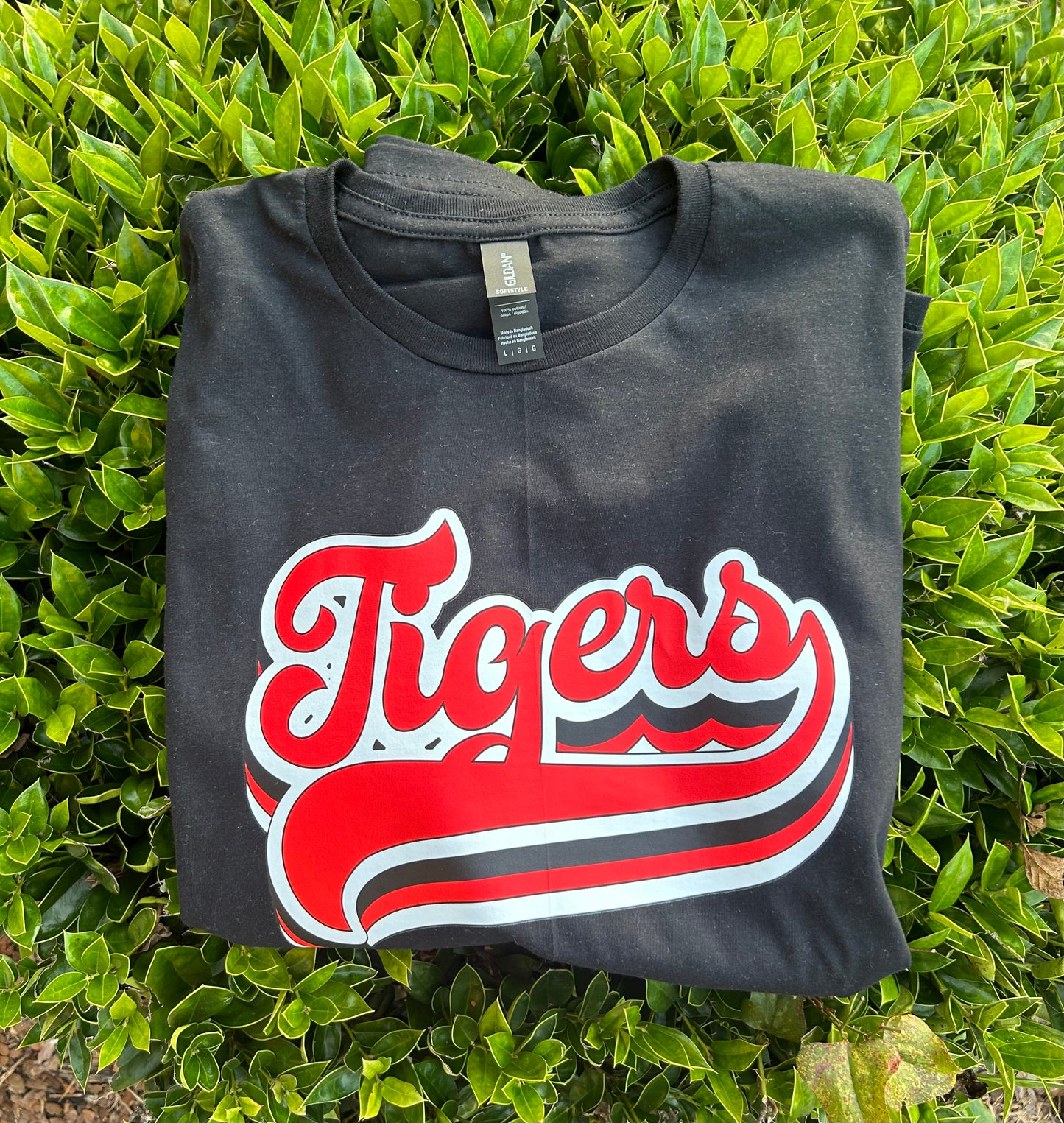 Blue Ridge Tigers Tee #1