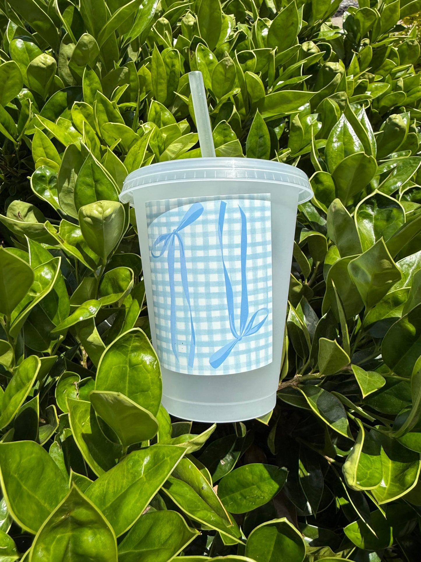 Coastal Cowgirl Cup Collection