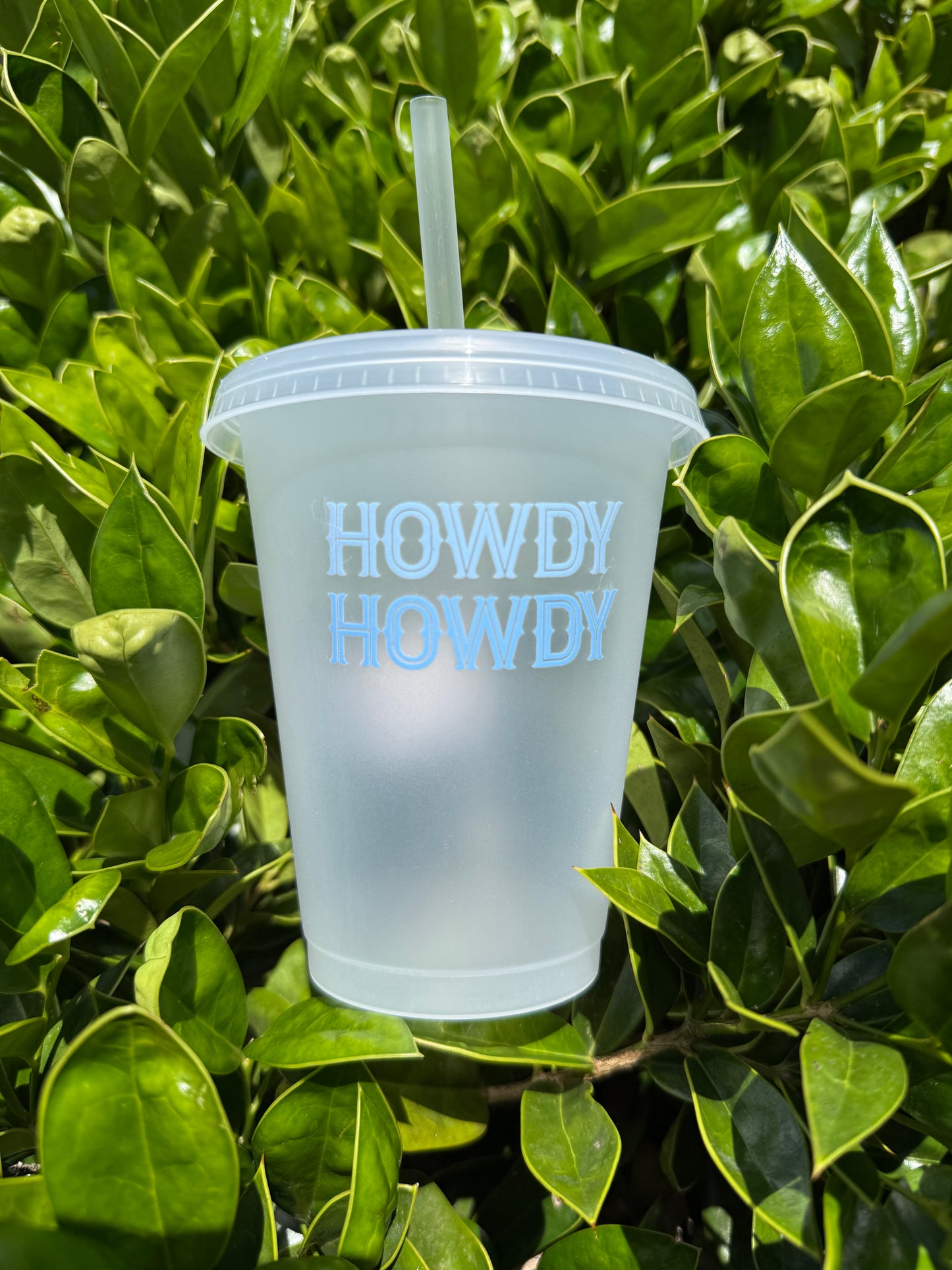 Coastal Cowgirl Cup Collection