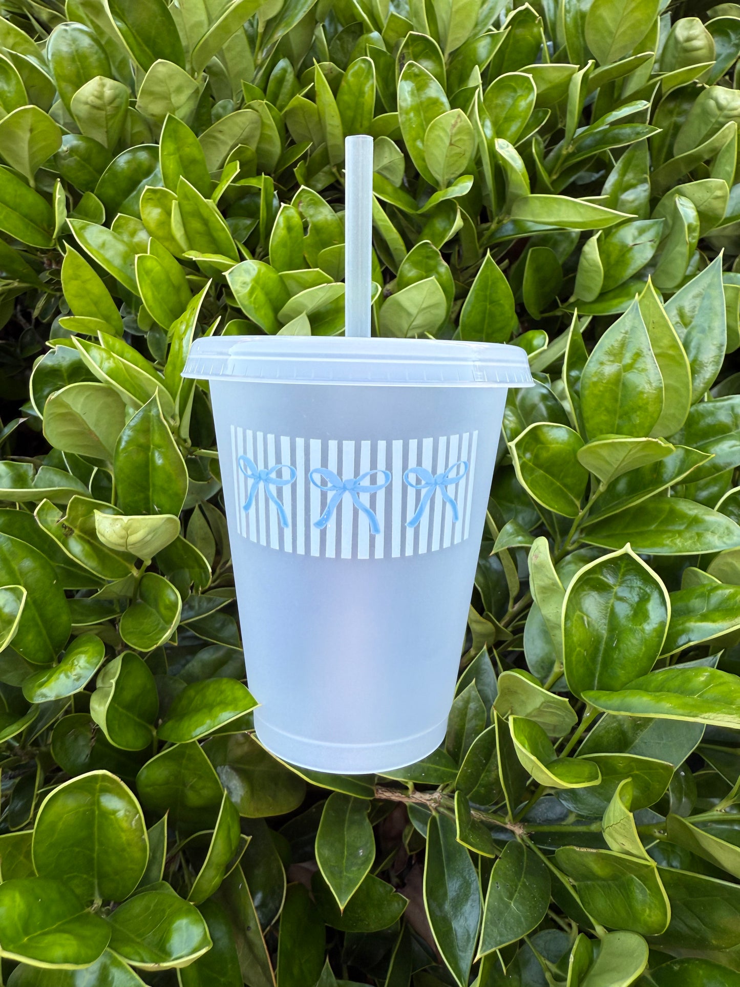 Coastal Cowgirl Cup Collection