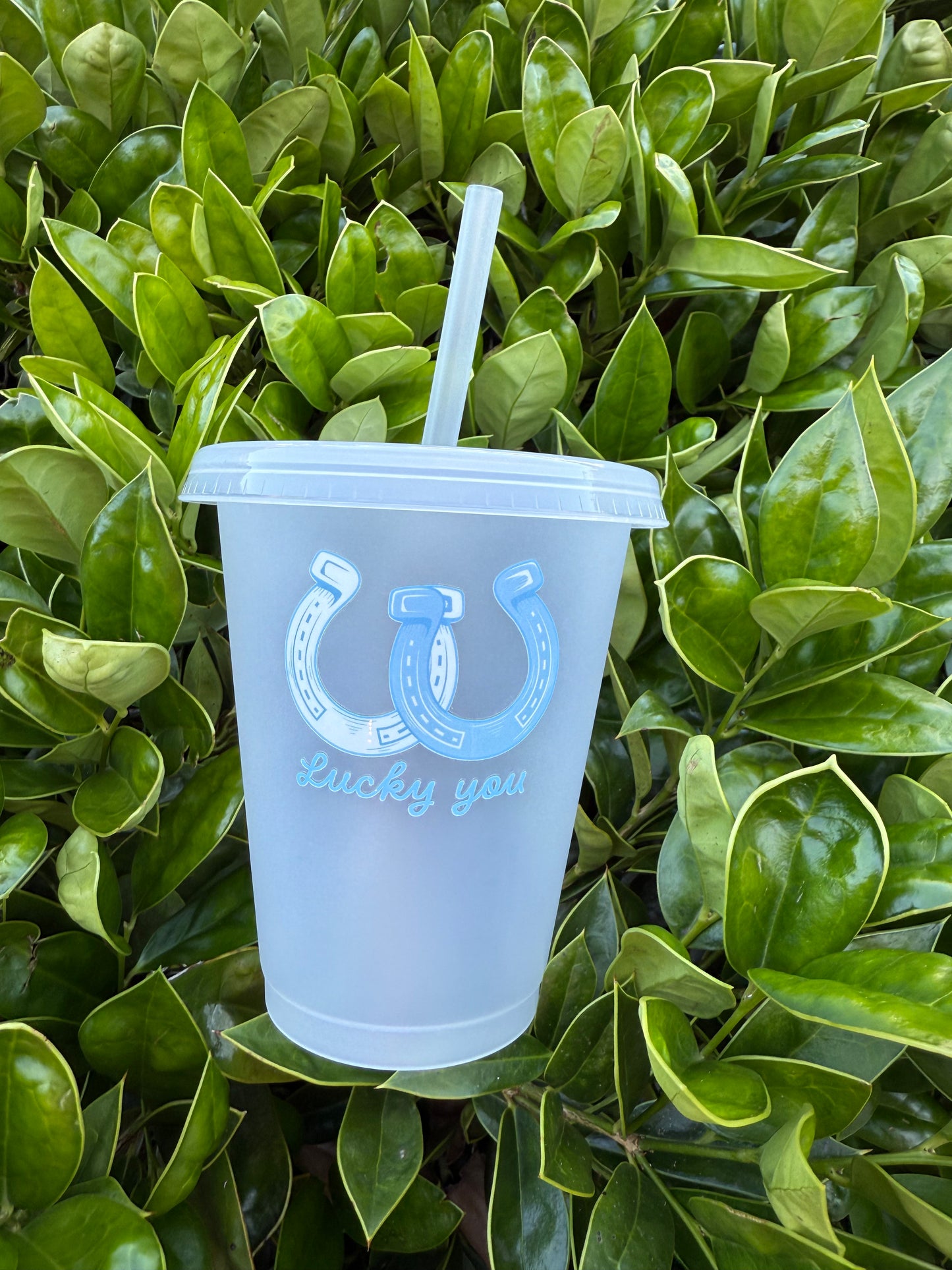 Coastal Cowgirl Cup Collection