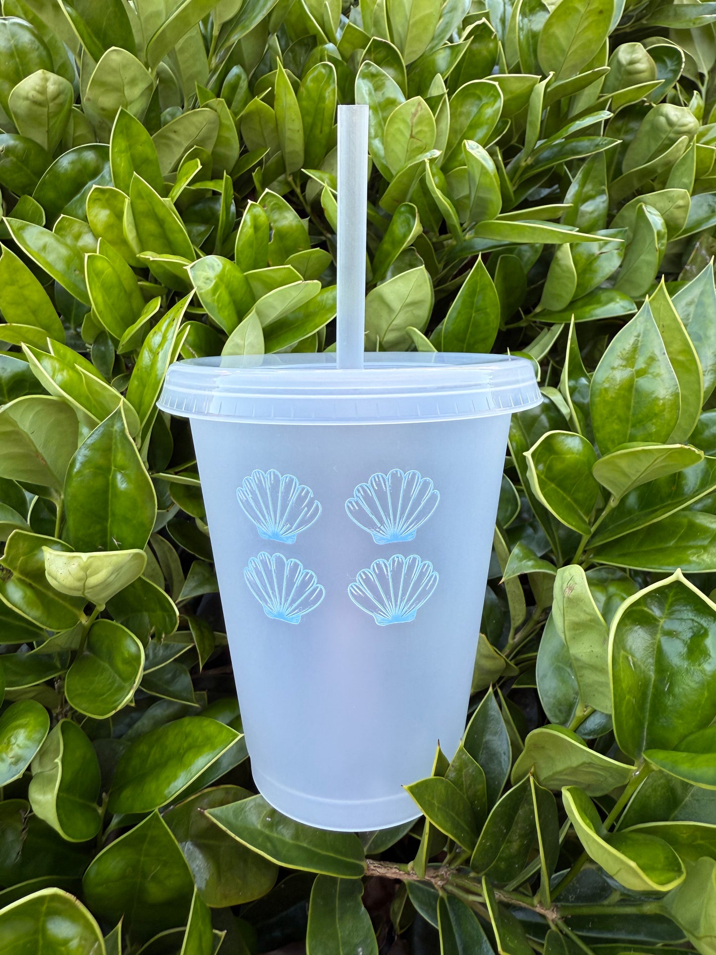 Coastal Cowgirl Cup Collection