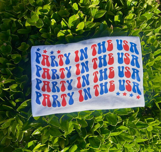 Party in the USA