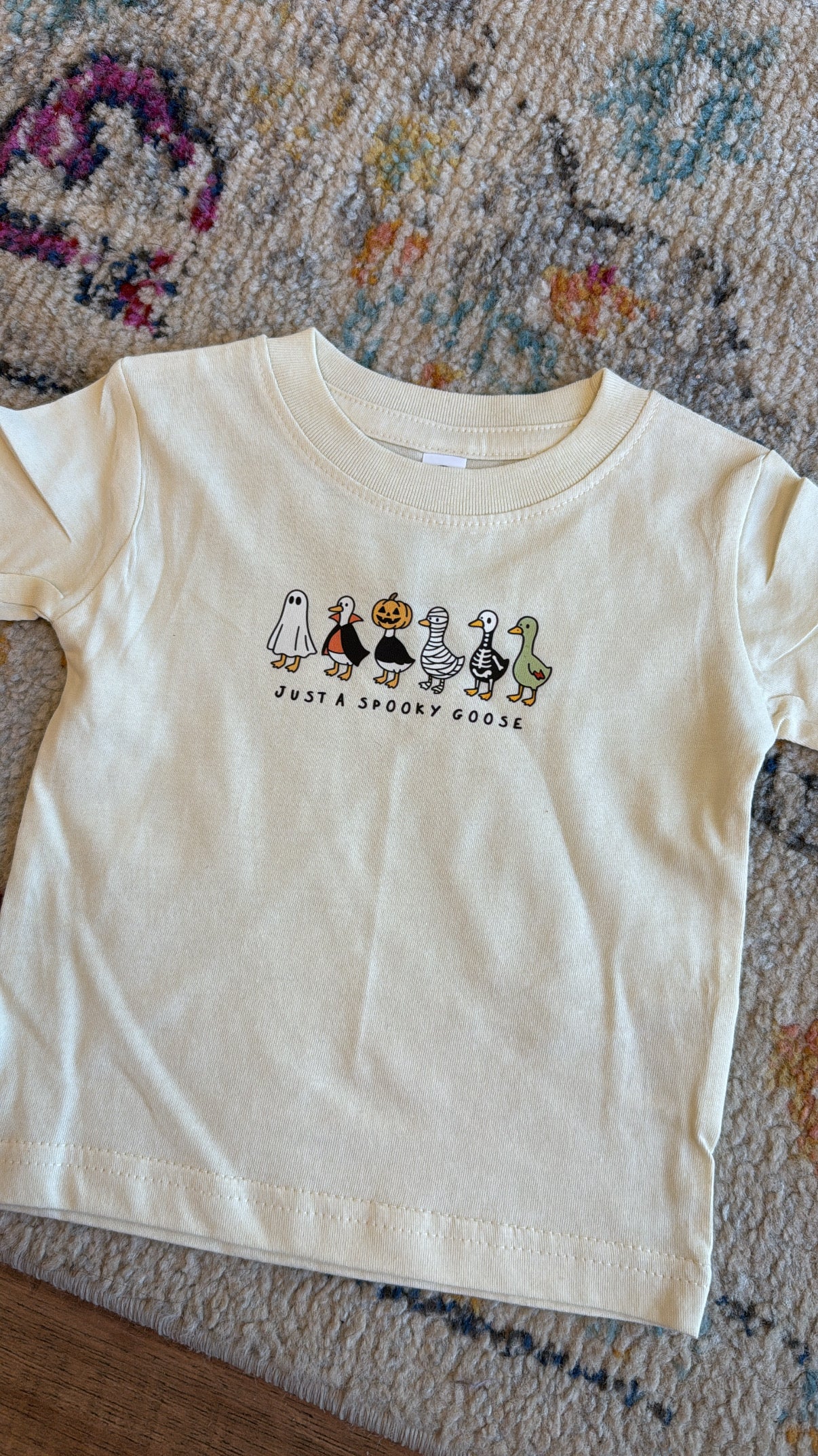 Kids Spooky Goose Tee