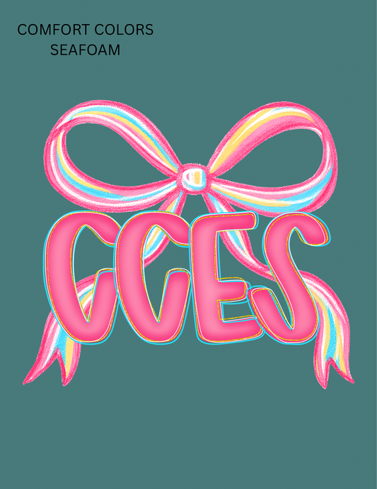 CCES #2